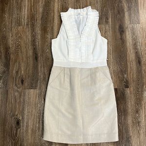 Loft 6 petite Dress